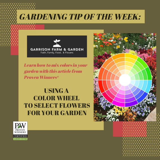 Coordinating Colors in the Garden