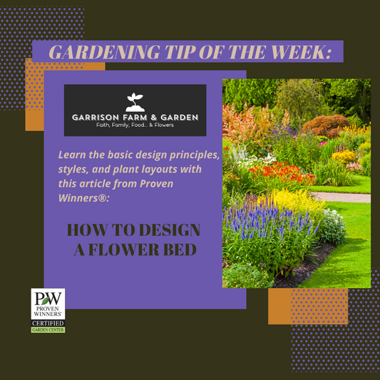 Designing A Flower Bed