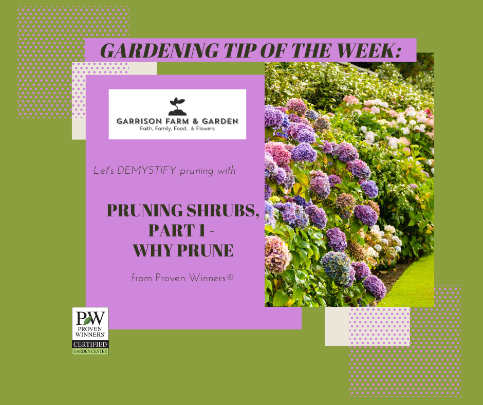 Pruning DEMYSTIFIED - Part 1