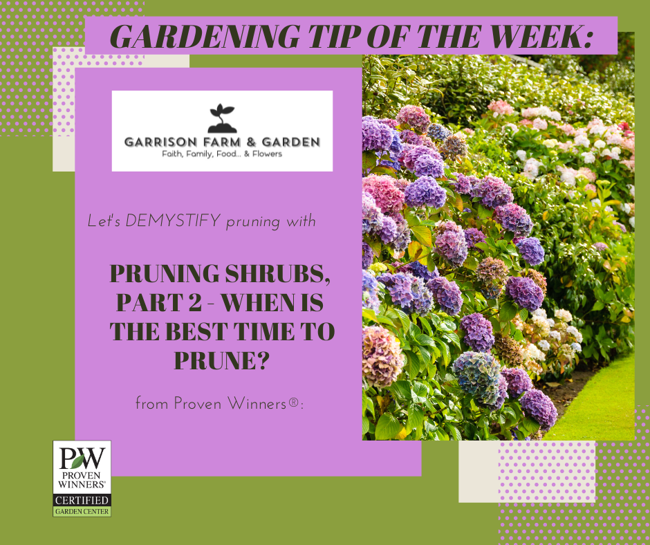 Pruning DEMYSTIFIED - Part 2