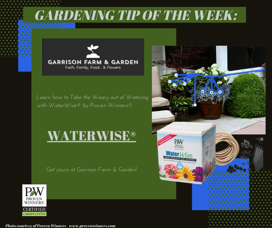 Take the Weary out of Watering with WaterWise® from Proven Winners®