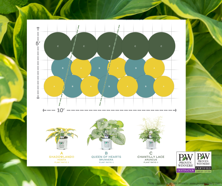 EZ Scape™ - Foliage for the Shade