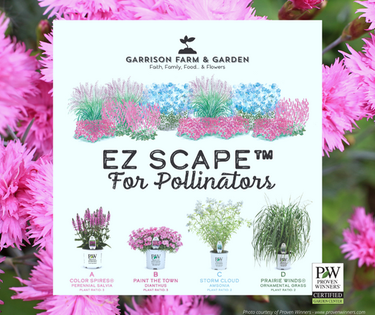 EZ Scape™ - Spring Pollinator Combo