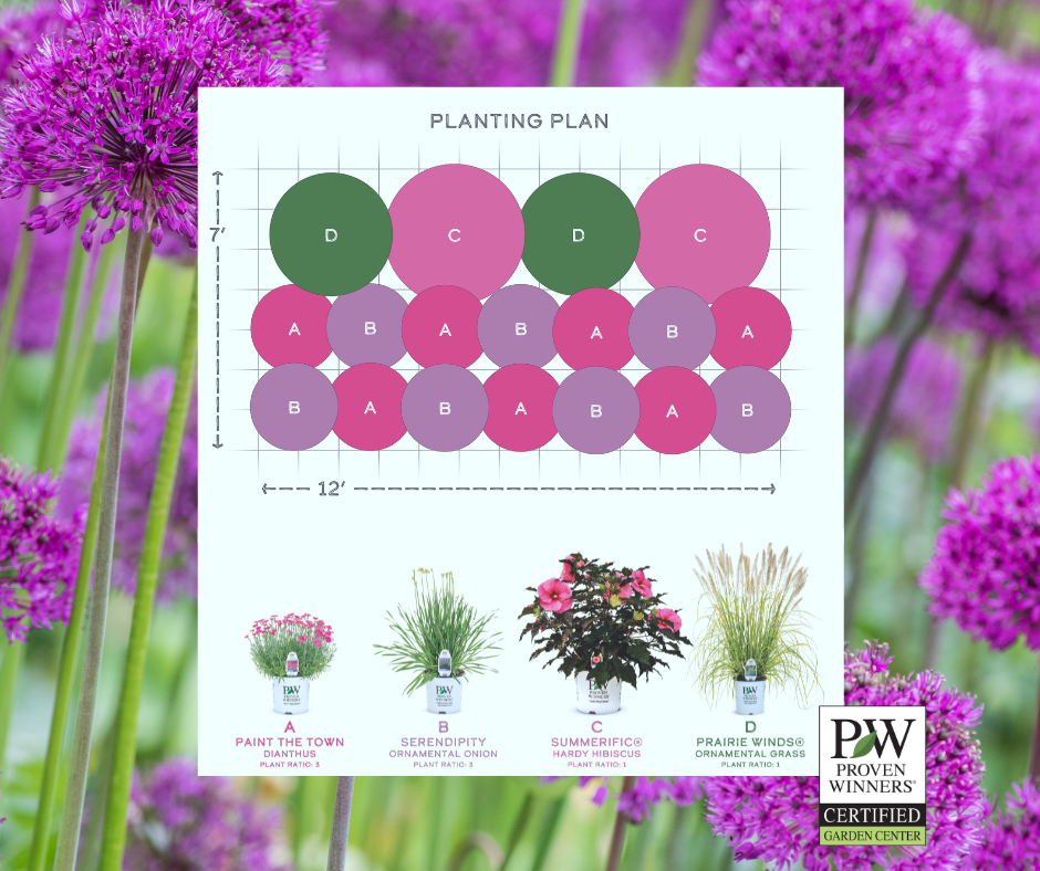 EZ Scape™ - Sun Loving & Deer Resistant