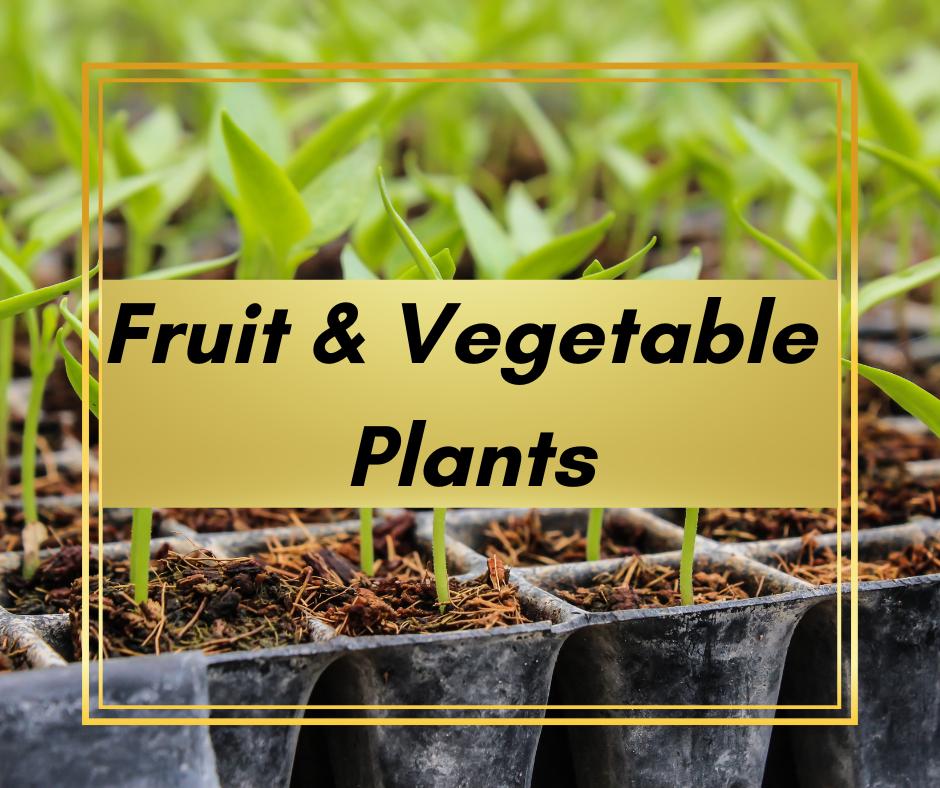 Fruit & Vegetable Plants