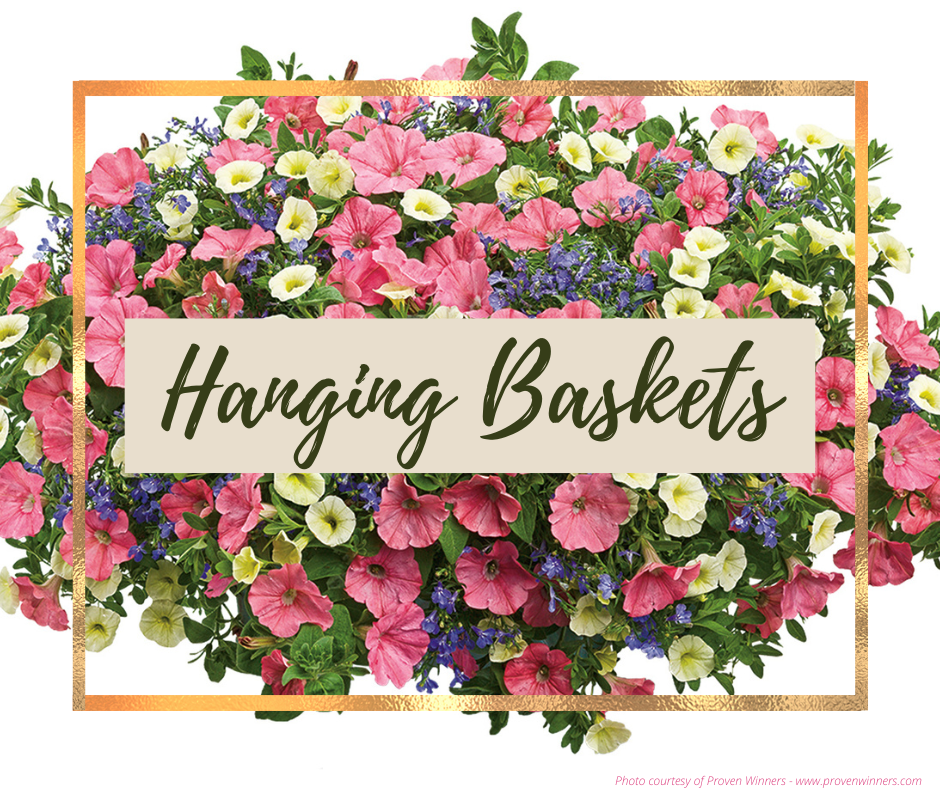 Hanging Baskets