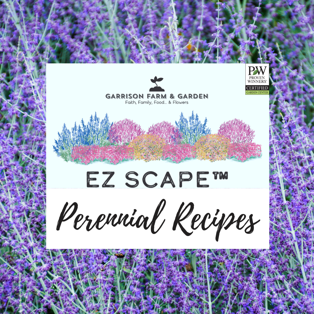 EZ Scapes™ - Perennial Recipes