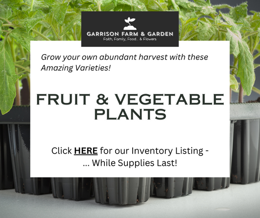 2024 Inventory - Fruit/Vegetable Plants