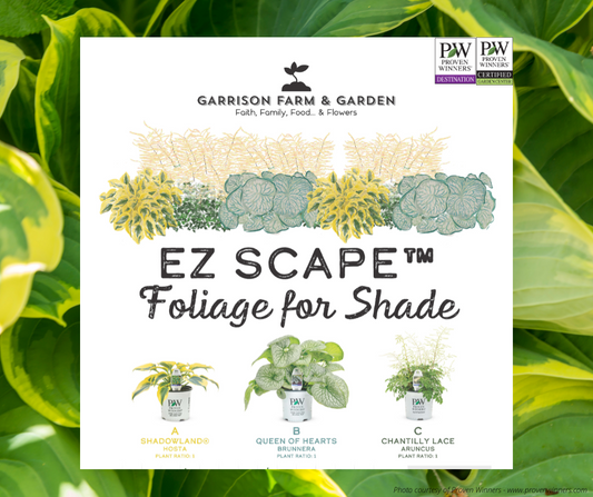 EZ Scape™ - Foliage for the Shade