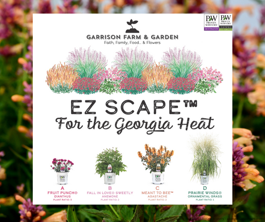 EZ Scape™ - For the Georgia Heat