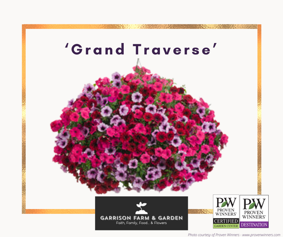 Spring Hanging Baskets - Proven Winners® Combinations!