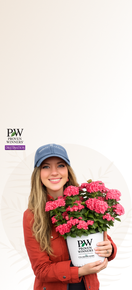 Image of Garden Made Easy With EZ Scapes™ Perennial Recipes