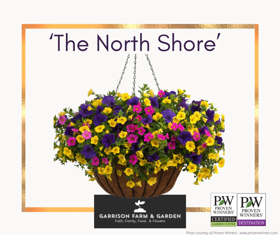 Spring Hanging Baskets - Proven Winners® Combinations!