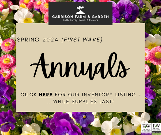 Spring 2024 Inventory - Annuals