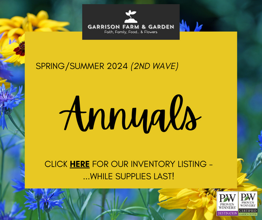 Spring/Summer 2024 Inventory - Annuals