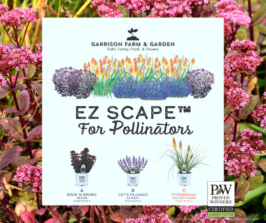 EZ Scape™ - Pollinator Combo for the South
