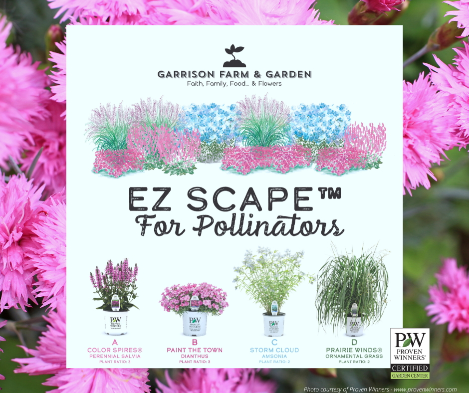 EZ Scape™ - Spring Pollinator Combo