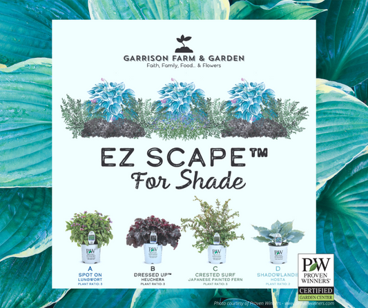 EZ Scape™ - Made for the Shade