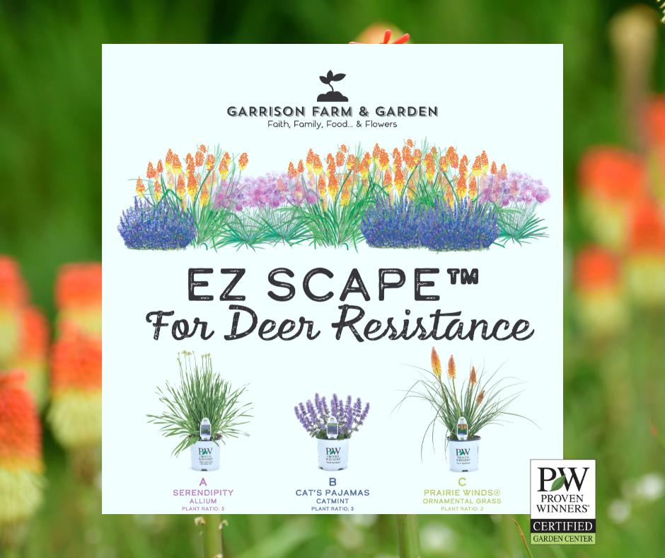 EZ Scape™ - Deer Resistant Sunscape #2 - Garrison Farm & Garden